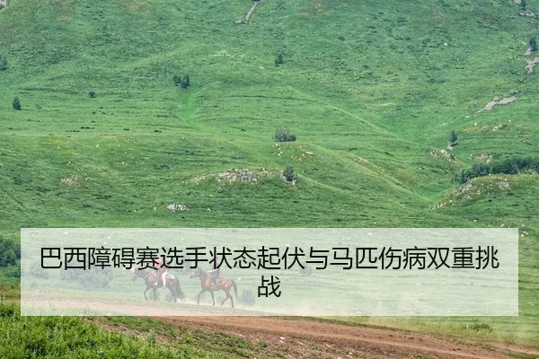 巴西障碍赛选手状态起伏与马匹伤病双重挑战