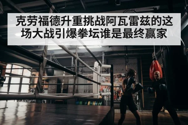 boxer training