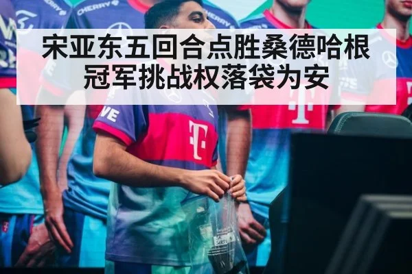 宋亚东五回合点胜桑德哈根 冠军挑战权落袋为安