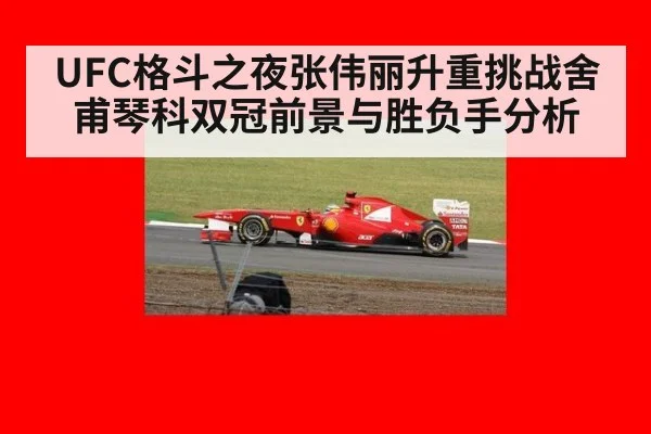 UFC格斗之夜张伟丽升重挑战舍甫琴科双冠前景与胜负手分析